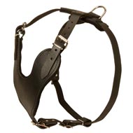 Heavy Duty Adjustable Leather Bull Terrier Harness for Training Heavy Duty Adjustable Leather Bull Terrier Harness for Training
