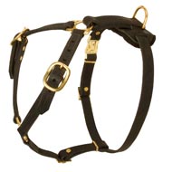 Adjustable Tracking Leather Bull Terrier Harness Adjustable Tracking Leather Bull Terrier Harness