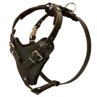 Best Adjustable Leather Bull Terrier Harness for Attack Work Best Adjustable Leather Bull Terrier Harness for Attack Work