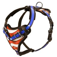 Hand-Painted Soft Padded Leather Bull Terrier Harness Hand-Painted Soft Padded Leather Bull Terrier Harness
