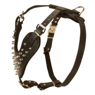 Adjustable Designer Spiked Leather Bull Terrier Harness Adjustable Designer Spiked Leather Bull Terrier Harness