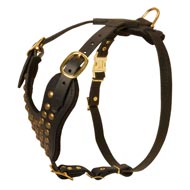Designer Studded Leather Bull Terrier Harness Designer Studded Leather Bull Terrier Harness
