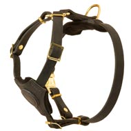 Adjustable Leather Bull Terrier Harness for Training Puppies Adjustable Leather Bull Terrier Harness for Training Puppies
