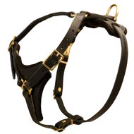 Adjustable Padded Leather Bull Terrier Harness for Dog Walking Adjustable Padded Leather Bull Terrier Harness for Dog Walking
