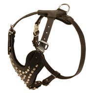 Fashion Studded Leather Bull Terrier Harness for Dog Walking Fashion Studded Leather Bull Terrier Harness for Dog Walking