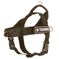 Lightweight Nylon Bull Terrier Harness for Training Lightweight Nylon Bull Terrier Harness for Training