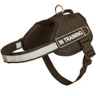 All-Weather Training Nylon Bull Terrier Harness for Police Work All-Weather Training Nylon Bull Terrier Harness for Police Work