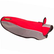Warm Winter Nylon Bull Terrier Harness Warm Winter Nylon Bull Terrier Harness