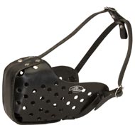 Leather Bull Terrier Muzzle for Attack and Agitation Training Leather Bull Terrier Muzzle for Attack and Agitation Training