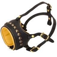 No Bark Leather Bull Terrier Muzzle for Walking and Training No Bark Leather Bull Terrier Muzzle for Walking and Training