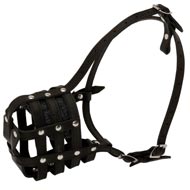 Perfect Ventilation Leather Bull Terrier Muzzle for Training Perfect Ventilation Leather Bull Terrier Muzzle for Training