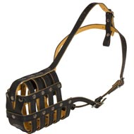 Royal Soft Padded Leather Bull Terrier Muzzle Royal Soft Padded Leather Bull Terrier Muzzle