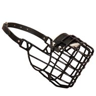 Rubber Covered Wire Cage Bull Terrier Muzzle for Winter Rubber Covered Wire Cage Bull Terrier Muzzle for Winter