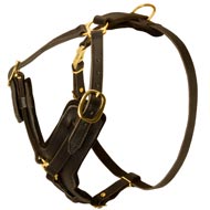 Exclusive Padded Designer Leather Bull Terrier Harness Exclusive Padded Designer Leather Bull Terrier Harness