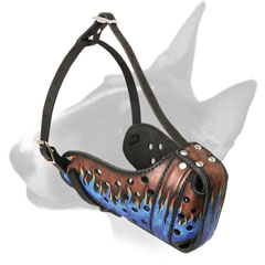 Fashionable Walking Leather Bull Terrier Muzzle with Blue Flames Fashionable Walking Leather Bull Terrier Muzzle with Blue Flames
