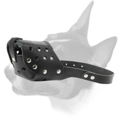 English Bull Terrier Walking Muzzle of Natural Leather English Bull Terrier Walking Muzzle of Natural Leather