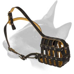 Royal Soft Padded Leather Bull Terrier Muzzle Royal Soft Padded Leather Bull Terrier Muzzle