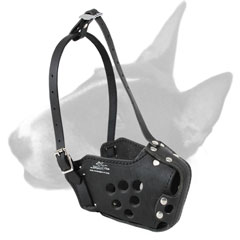 Military English Bull Terrier Muzzle for Training, Police, Agitation Military English Bull Terrier Muzzle for Training, Police, Agitation