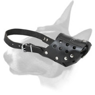 Perfect Bull Terrier Leather Dog Muzzle for Training and Walking Perfect Bull Terrier Leather Dog Muzzle for Training and Walking