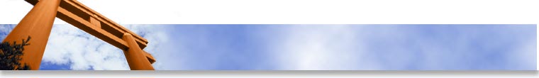 High Quality Muzzles, Collars, Leashes
