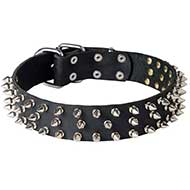Wide Spiked Design Leather Bull Terrier Collar  Wide Spiked Design Leather Bull Terrier Collar