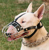 Bull Terrier Muzzles Bull Terrier Wire Muzzles Bull Terrier