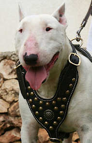 The ''Aztec'' Harness Brown Small to Medium Size M- Bullterrier Size
