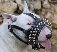 do staffordshire bull terriers have to be muzzled in public