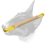 Imperishable' Bull Terrier Dog Toy - Fire Plug, SMALL SIZE [TT27#1090 6 x  7.5 cm Fire Plug Treat Toy] : Bull Terrier Harnesses, Bull Terrier Muzzle,  Bull Terrier Collars, Bull Terrier Leads