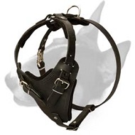 Best dog harness outlet for bull terrier