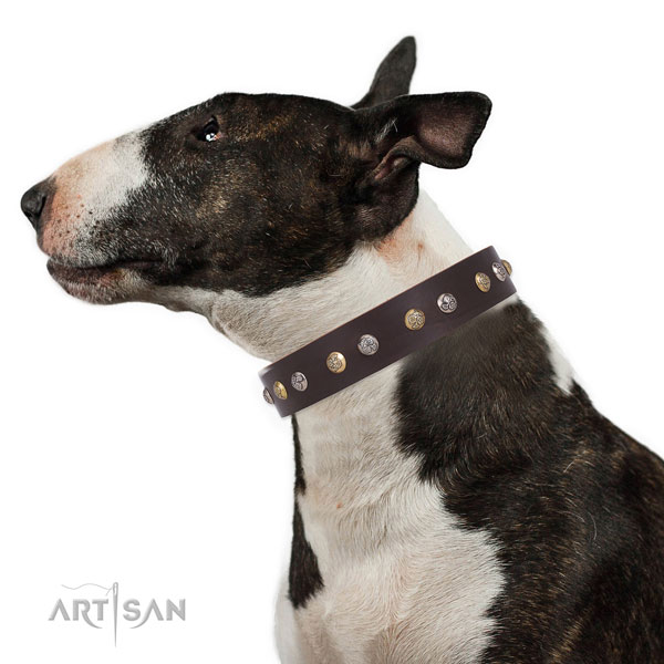 Full grain leather dog collar with durable buckle and D-ring for walking