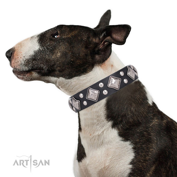 Easy wearing adorned dog collar made of strong leather