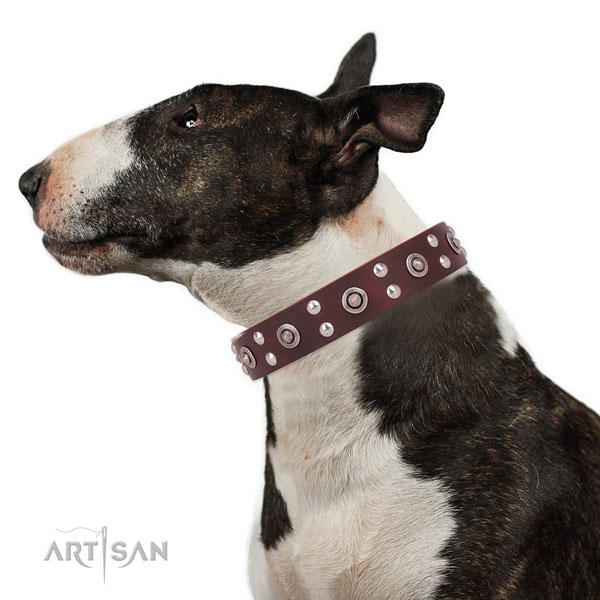 Walking dog collar with fashionable studs