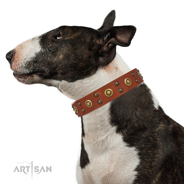 Handy use dog collar with fashionable studs