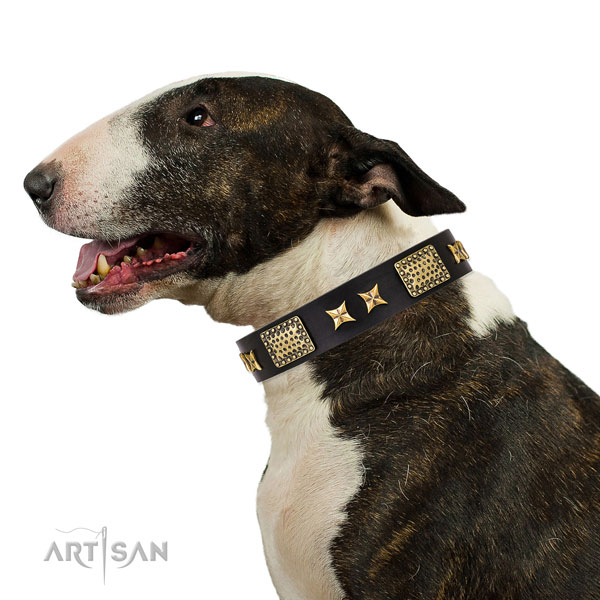Fancy walking dog collar with stylish studs