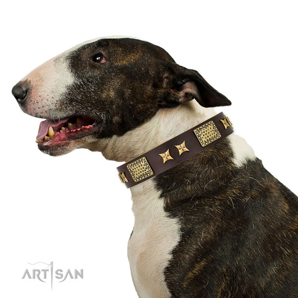 Easy wearing dog collar with significant decorations