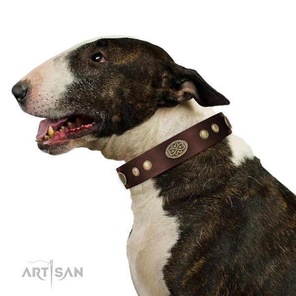 Corrosion resistant traditional buckle on Genuine leather dog collar for handy use