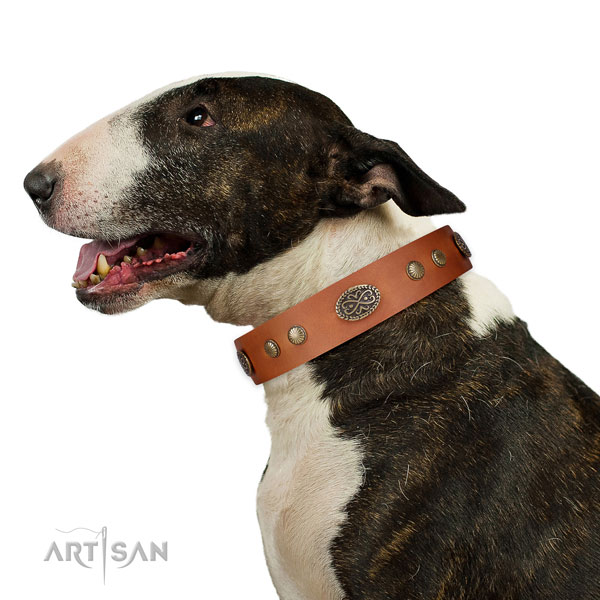 Rust-proof D-ring on genuine leather dog collar for comfortable wearing