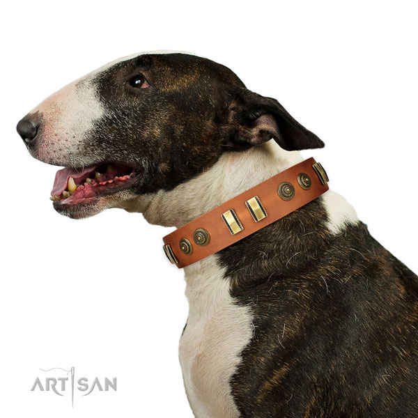 Reliable D-ring on natural leather dog collar for stylish walking