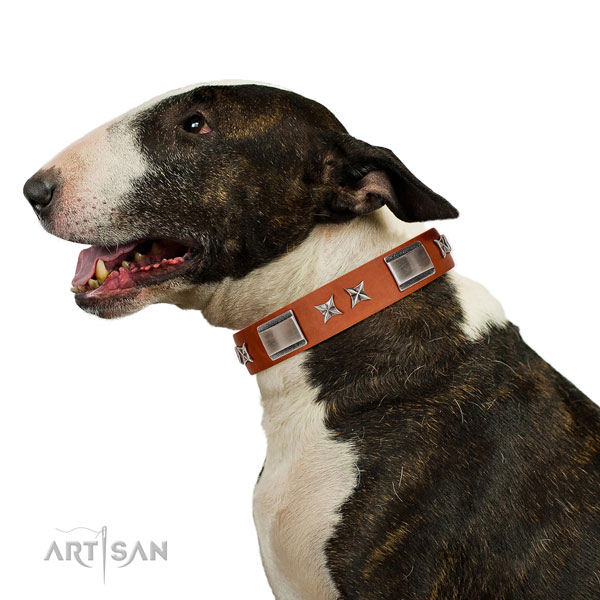 Everyday use reliable full grain leather dog collar with studs