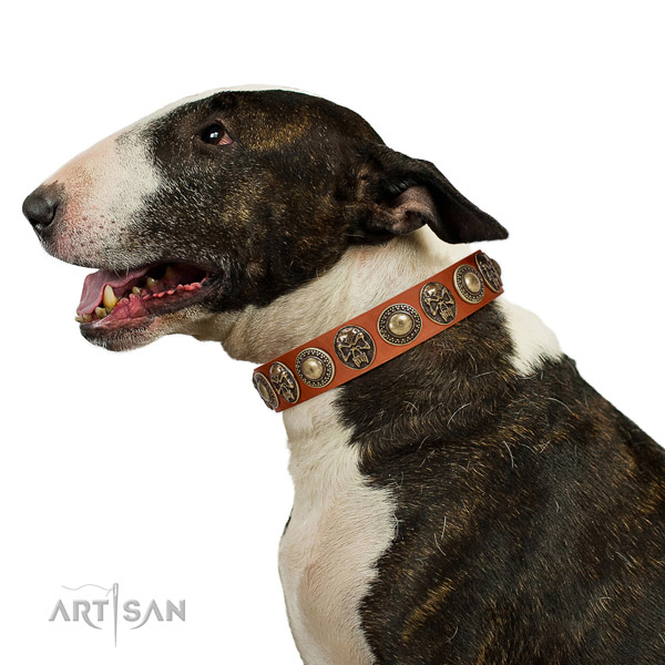 Unusual natural leather collar for your handsome canine