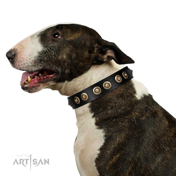 Easy wearing dog collar of natural leather with amazing adornments
