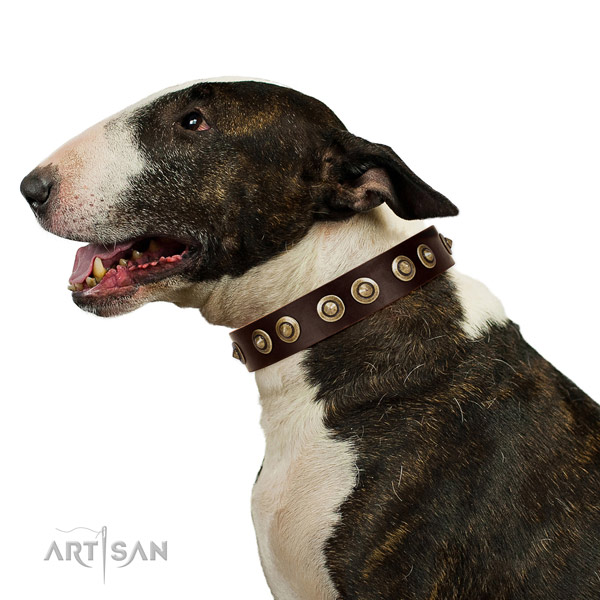 Rust-proof D-ring on genuine leather dog collar for comfortable wearing
