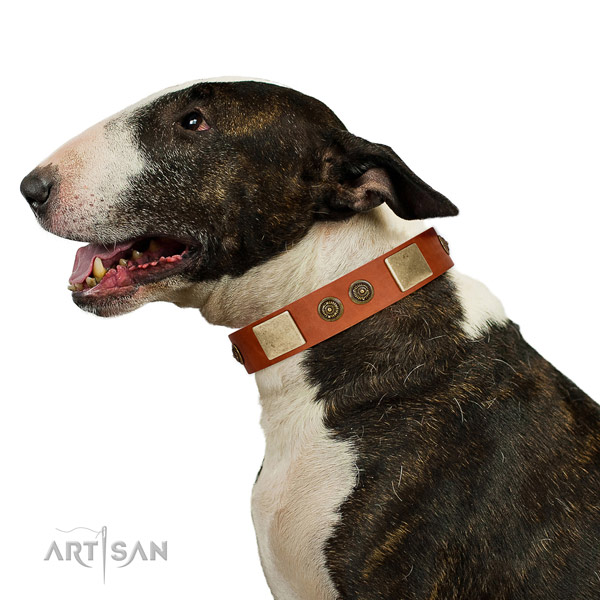 Embellished dog collar handmade for your lovely canine