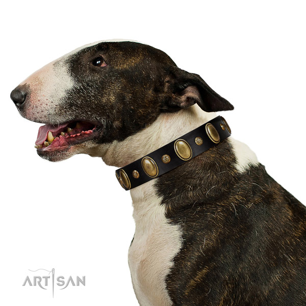 Genuine leather dog collar of gentle to touch material with unusual decorations