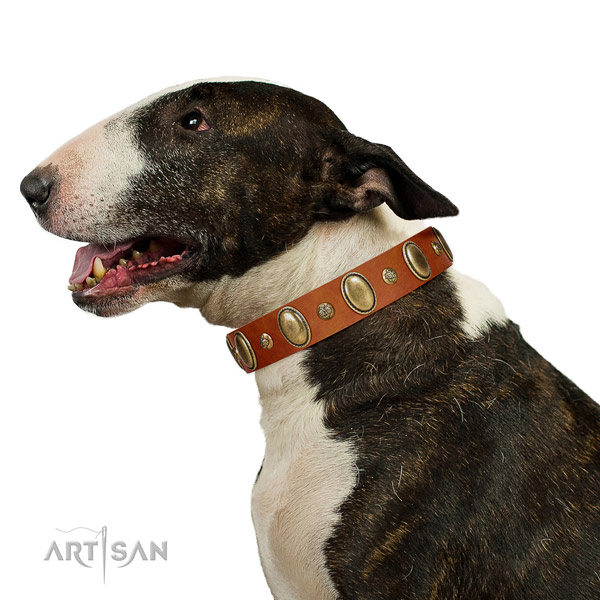 Stylish design full grain natural leather dog collar with corrosion proof hardware