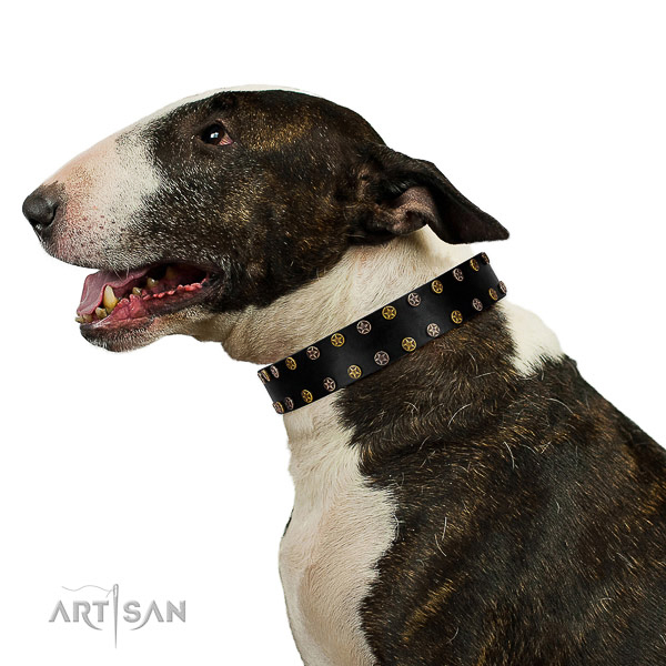 Exquisite full grain leather dog collar with rust resistant studs