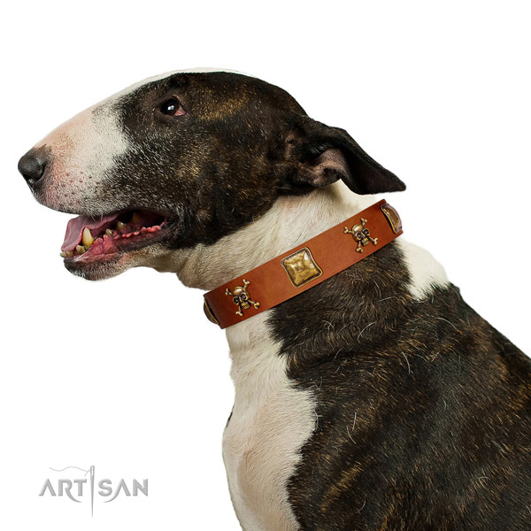Designer leather dog collar with rust resistant embellishments