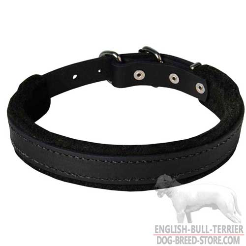 Padded Leather Dog Collar for Bull Terrier Attack & Protection Training