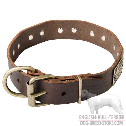 Buy Vintage Leather Bull Terrier Collar | Brass Plates